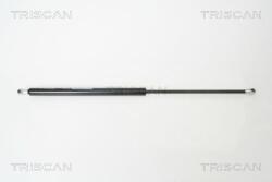 TRISCAN Amortizor portbagaj TRISCAN 8710 69221 (8710 69221) - automobilus