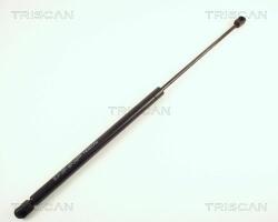 TRISCAN Amortizor portbagaj TRISCAN 8710 65201 (8710 65201) - automobilus