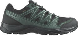 Salomon Kynthos GTX , Negru , 42