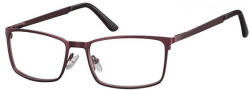 Berkeley ochelari protecție calculator 614 F (C10N SO 614F 55) Rama ochelari