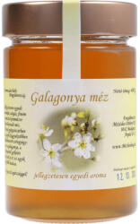  Galagonya méz 440g (Mézbarlang-Magyarország)