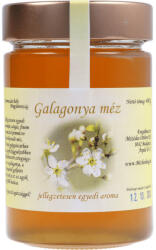 Galagonya méz 440g (Mézbarlang-Magyarország)