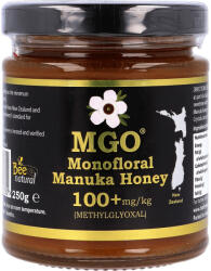 Family Foods Manukaméz MGO 100+ 250g (Bee Natural)
