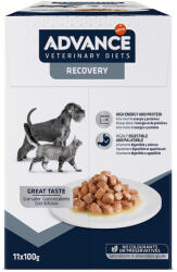 Affinity 22x100g Advance Veterinary Diets Recovery nedveseledel kutyáknak, macskáknak