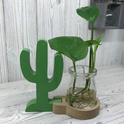  Üveg gyökereztető váza zöld kaktusszal