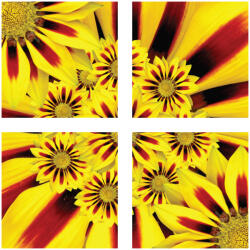 4 Decor Tablou canvas 4 piese - Floarea soarelui