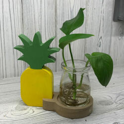  Üveg gyökereztető váza ananásszal