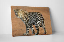 4 Decor Tablou canvas : Leopard - beestick-deco - 104,00 RON