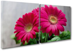 4 Decor Tablou canvas 2 piese - Gerbere
