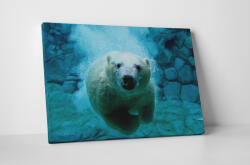 4 Decor Tablou canvas : Ursul polar - beestick-deco - 69,00 RON