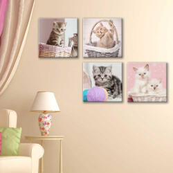 4 Decor Set de 4 tablouri : Cosuri cu Pisici