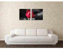 4 Decor Tablou canvas 2 piese - Boboc