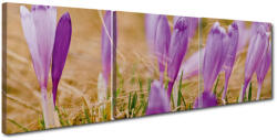 4 Decor Tablou canvas 3 piese - Branduse