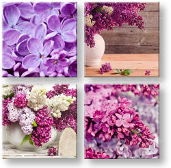  Falikép Lilacs (modern vászonképek)