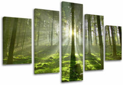 5 részes falfesték TREES ST021E50