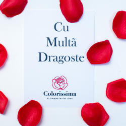 Colorissima Felicitare - Cu Multa Dragoste -