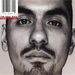 BERTUS Bad Religion - The Gray Race (1lp, Remastered) (w58693)