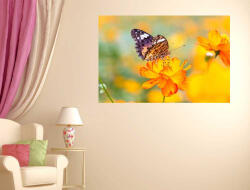 4 Decor Summer Vibe