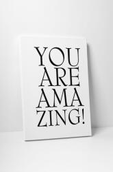 4 Decor Tablou canvas : You Are Amazing - beestick-deco - 69,00 RON