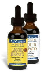 Rx Vitamins RX Hepato Support Liquid, 120ml