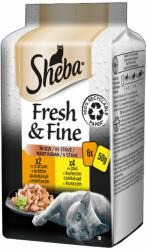 Sheba Fresh & Fine in sauce with chicken & turkey 36x50 g
