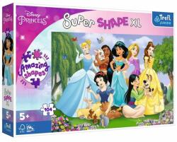 Trefl Disney Hercegnők a kertben XL puzzle 104 db-os (50019)