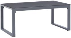 vidaXL Măsuță de cafea, 90 x 50 x 40 cm, aluminiu (47254) Masa de cafea