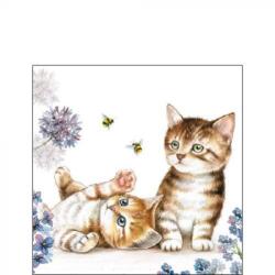 Ambiente Cats and Bees papírszalvéta 25x25cm, 20db-os