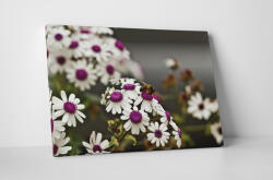 4 Decor Tablou canvas : Musetel - beestick-deco - 69,00 RON