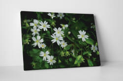 4 Decor Tablou canvas : Floricele albe - beestick-deco - 104,00 RON