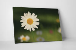 4 Decor Tablou canvas : Un musetel - beestick-deco - 174,00 RON