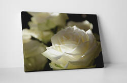 4 Decor Tablou canvas : Trandafirul alb - beestick-deco - 69,00 RON