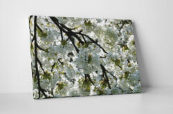 4 Decor Tablou canvas : Mar inflorit - beestick-deco - 104,00 RON