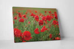 4 Decor Tablou canvas : Maci - beestick-deco - 174,00 RON