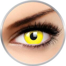 MAXVUE VISION Fancy Yellow - lentile de contact colorate Crazy galbene anuale - 360 purtari (2 lentile/cutie)