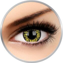 MAXVUE VISION Fancy Yellow Eclipse - lentile de contact colorate Crazy galbene/negre anuale - 360 purtari (2 lentile/cutie)