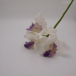  Orchidea szál 3