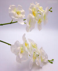  Orchidea szál