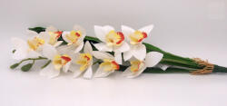  Gumi orchidea ág - cymbidium