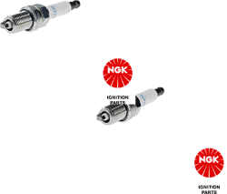 NGK 6130 Bujii Bujie