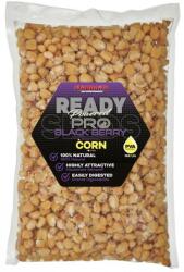 STARBAITS Kukorica ready seeds pro blackberry 1kg (73427) - epeca