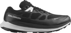 Salomon ULTRA GLIDE 2 GTX Terepfutó cipők l47216600 Méret 44 EU Férfi futócipő