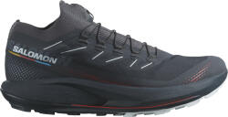 Salomon PULSAR TRAIL 2 /PRO Terepfutó cipők l47128700 Méret 44 EU Férfi futócipő