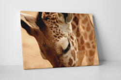 4 Decor Tablou canvas : Girafa - beestick-deco - 69,00 RON