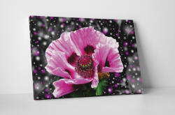 4 Decor Tablou canvas : Floare roz - beestick-deco - 69,00 RON
