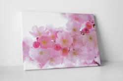 4 Decor Tablou canvas : Flori roz - beestick-deco - 174,00 RON