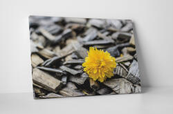 4 Decor Tablou canvas : Floricica - beestick-deco - 69,00 RON