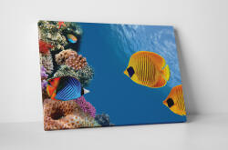 4 Decor Tablou canvas : Lumea marina - beestick-deco - 104,00 RON