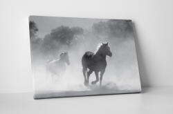 4 Decor Tablou canvas : Armasari - beestick-deco - 104,00 RON