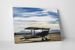 4 Decor Tablou canvas : Avion vechi - beestick-deco - 174,00 RON
